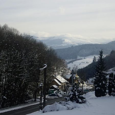 Appartement Vue Sur La Montagne Soultzeren Exteriér fotografie